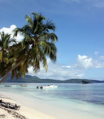 blauer Himmel, Strand, Meer und Palmen