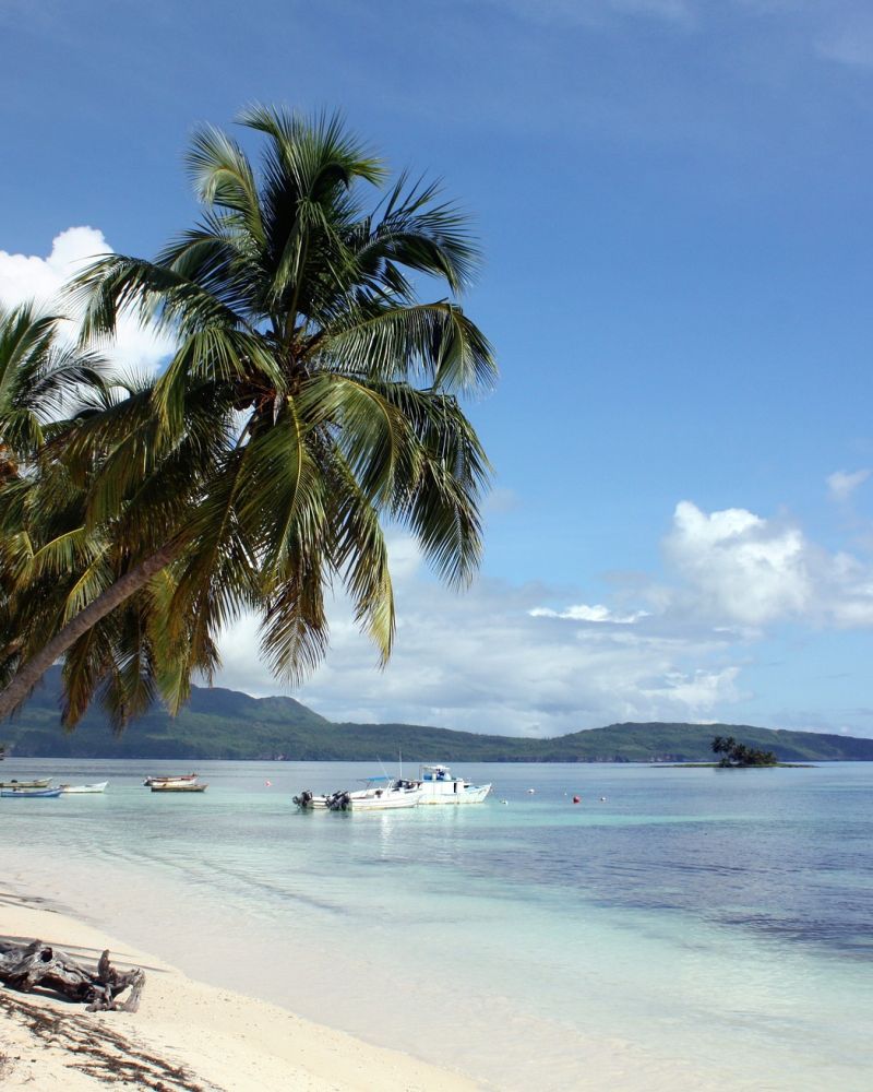 blauer Himmel, Strand, Meer und Palmen