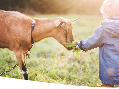 Kind und Ziege