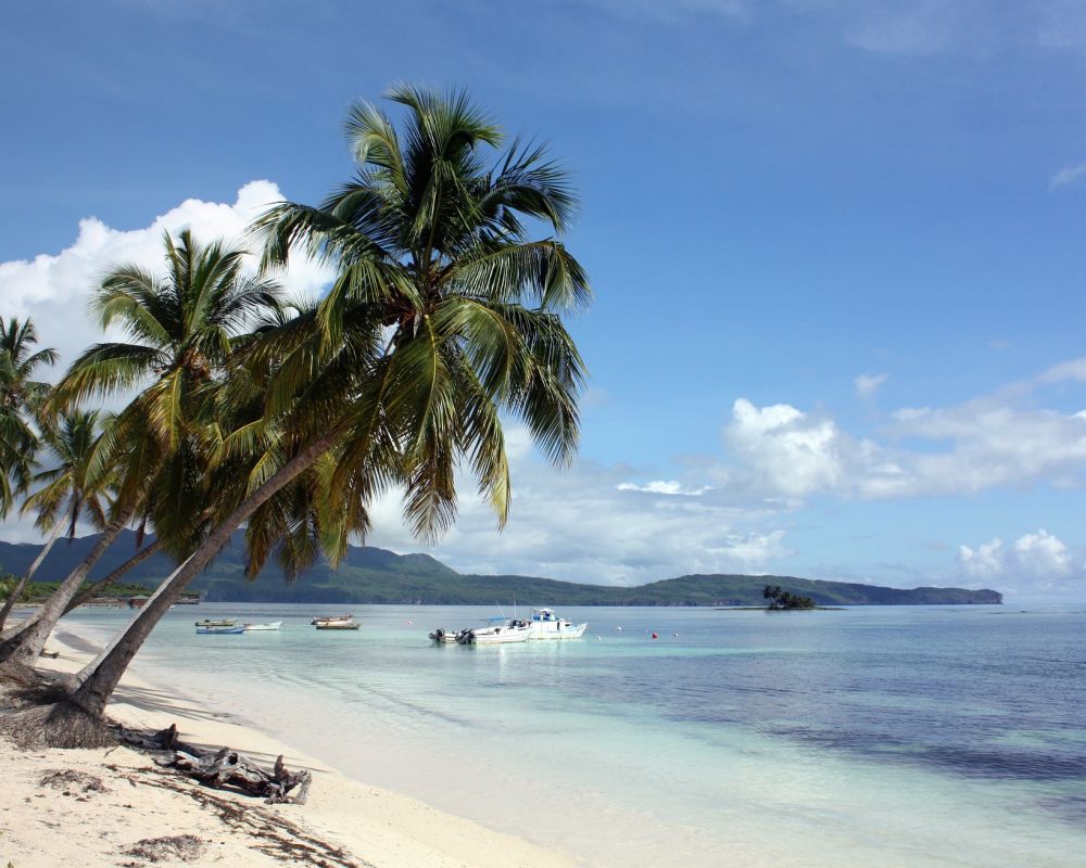 blauer Himmel, Strand, Meer und Palmen